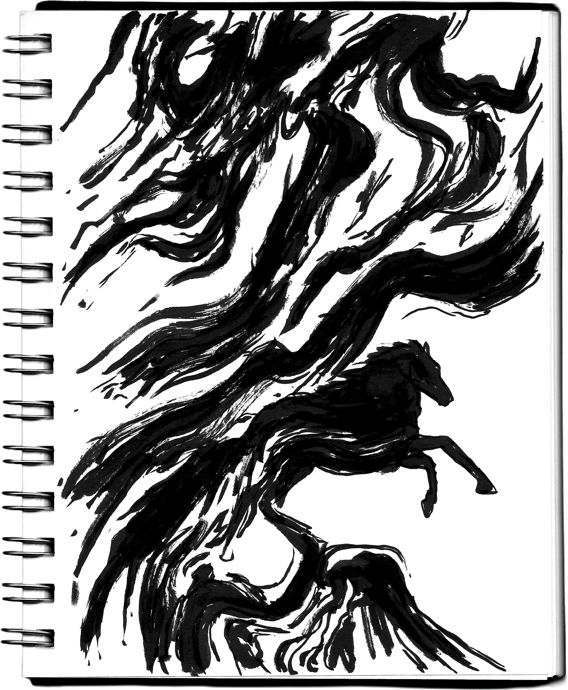 Hidden Within the Flames, imagem 11