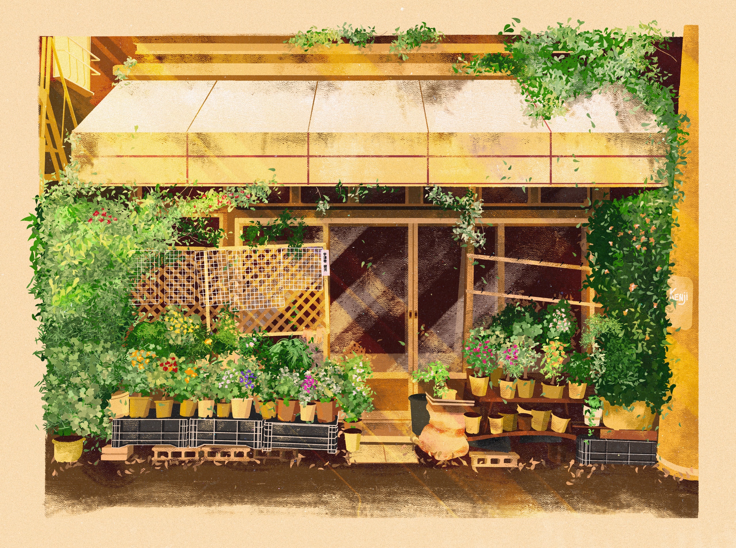 Flower Shop - Digital Drawing