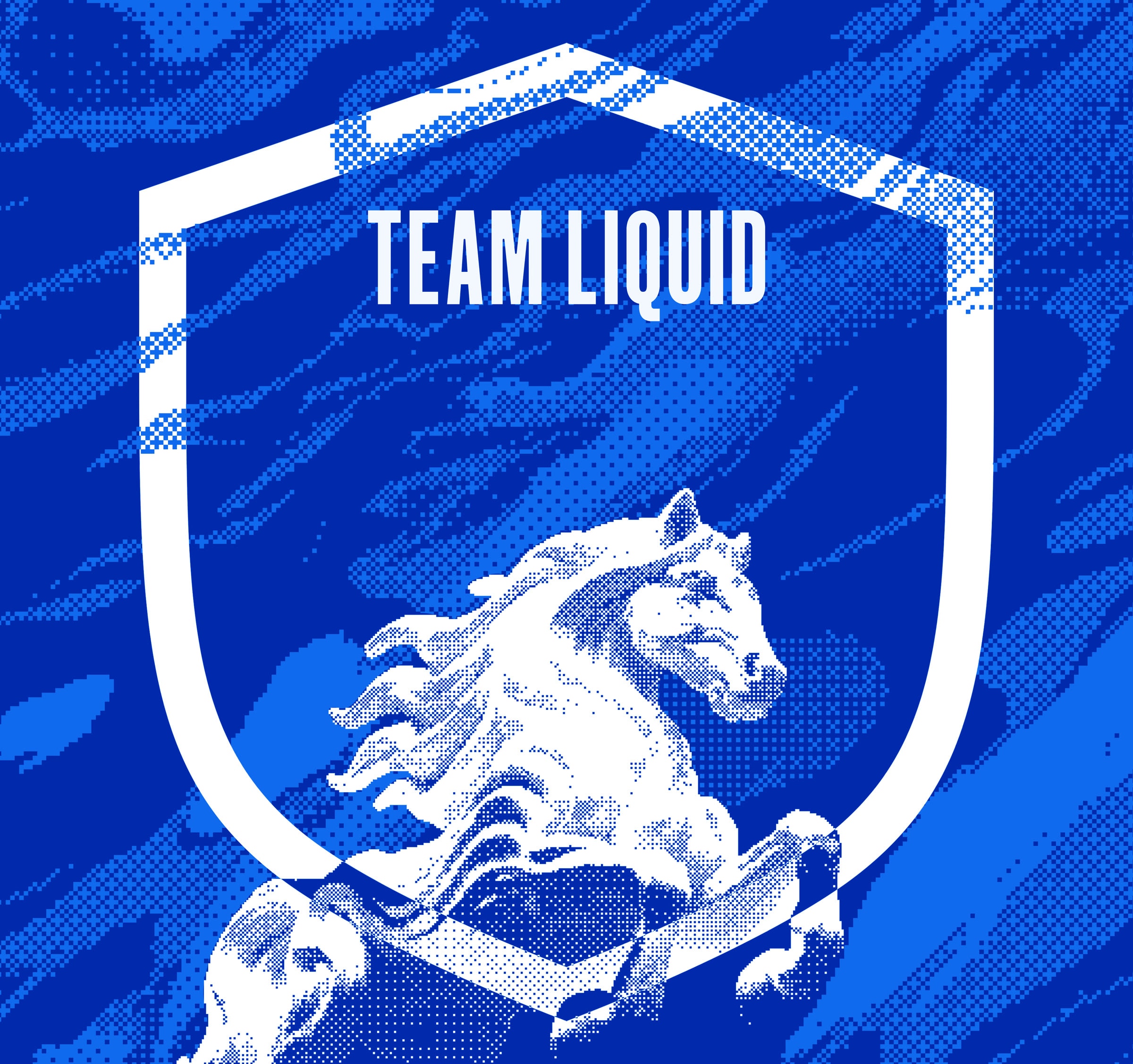 Zenni x Team Liquid: 2026 Collection, imagem 8