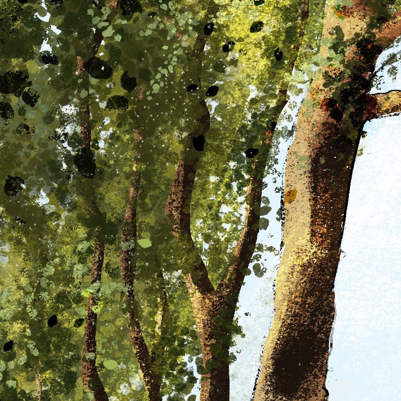 Procreate Background Illustration, imagem 4