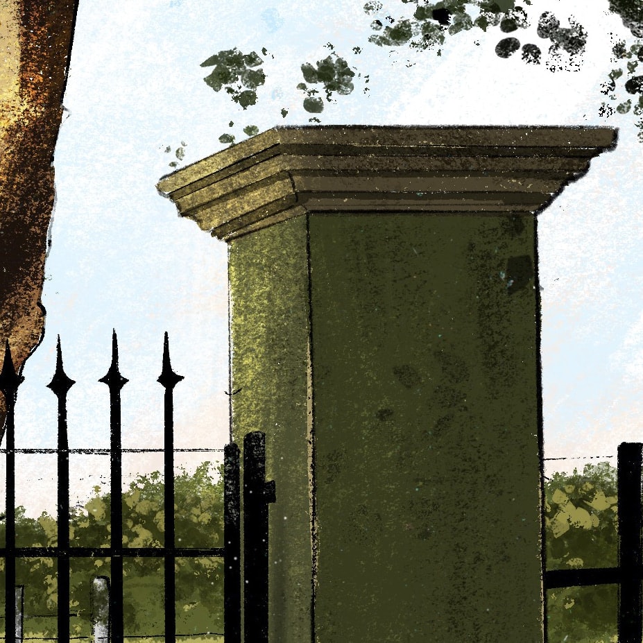 Procreate Background Illustration, imagem 5