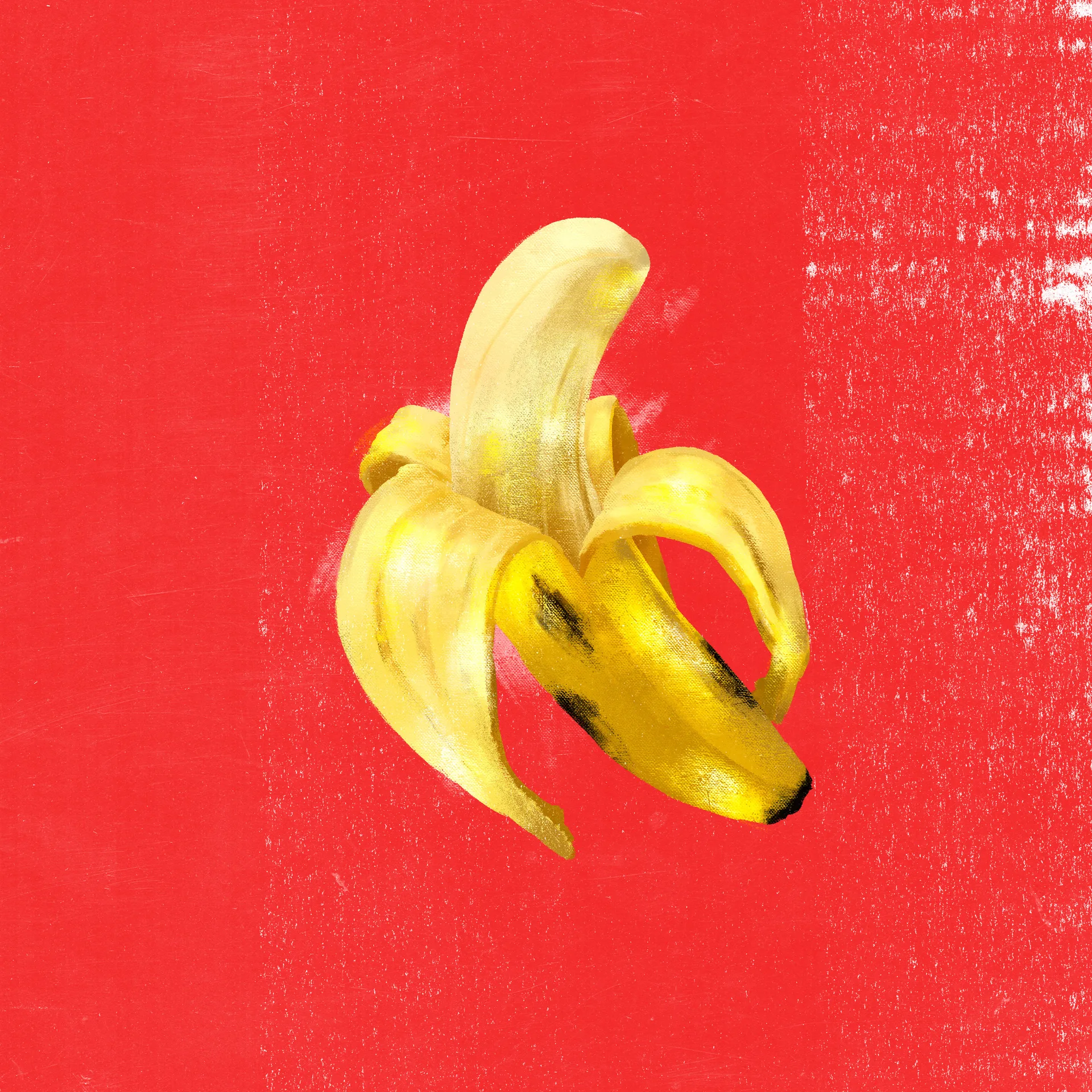 Fruits - Color Study, imagem 4