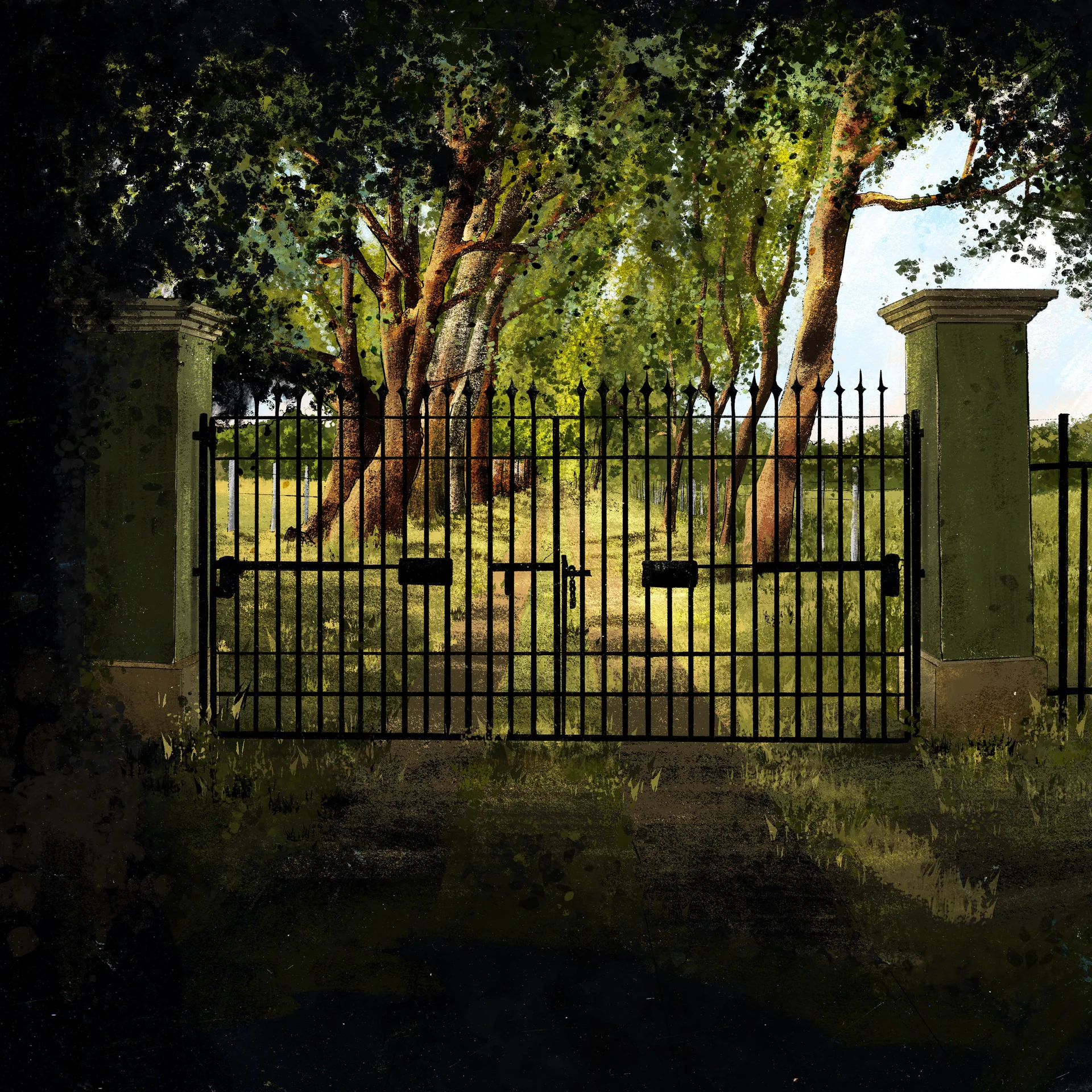 Procreate Background Illustration